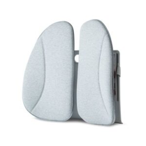 Massage devices Homedics  ER-BS200H Back Support Cushion with Cover + Heat 