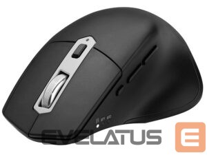 Datora pele Tracer  45677 Ofis X Computer Mouse 