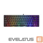 Datora tastatūra White Shark  GK-2201 RONIN Black-US 