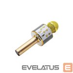 Другой аксессуар для компьютера Manta  MIC10-G Gold 