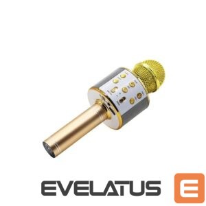 Cita datorprece Manta  MIC10-G Gold 