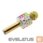 Kitas kompiuterio priedas Manta  MIC20-GL Gold 