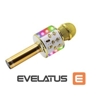 Cita datorprece Manta  MIC20-GL Gold 