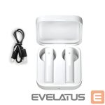 Wireless headphones Manta  MTWS004X 