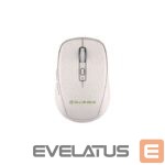 Computer mouse Tellur  Green Wireless Mouse Nano Reciever Creame 