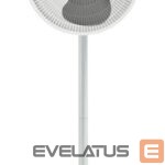 Вентилятор Beper  P206VEN152 