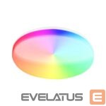 Galda lampa Tellur  Smart WiFi Ceiling Light, RGB 24W, Round, White 