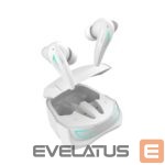 Bezvadu austiņas White Shark  GEB-TWS96 Titan White 
