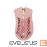 Arvutihiir White Shark  WGM-5012 Lionel Pink 