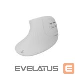 Kompiuterio pelė Sbox  VM-838W Vertical Wireless White 