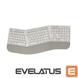 Computer keyboard Sbox  WK-905 US Beige 