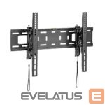 TV kronšteini Sbox  PLB-6546T-2 (37-80/75kg/600x400) 