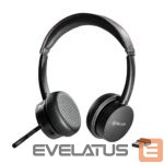 Wireless headphones Tellur  Voice Pro Wireless Call Center Headset Black 
