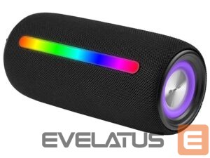 Bezvadu skaļrunis Tracer  47182 Stripe TWS Bluetooth Black 