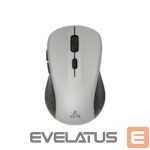 Kompiuterio pelė Sbox  WM-993 Silver 