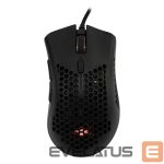 Computer mouse Baracuda  BGM-031 Coral Black 