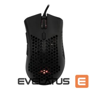 Datora pele Baracuda  BGM-031 Coral Black 