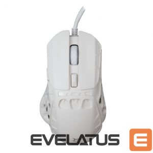Computer mouse White Shark  GM-5016 Ector White 