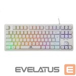 Kompiuterio klaviatūra Baracuda  BGK-01114 Krill White US 