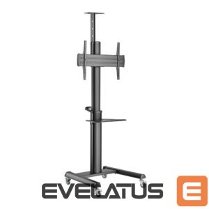 TV kronšteini Sbox  FS-446-2 (37-70/70kg/600x400) 