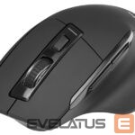 Компьютерная мышь Tracer  46950 Cozy RF 2.4GHz 