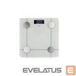 Scales Jata  HBAS1524 