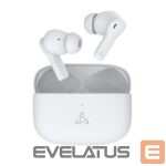 Belaidės ausinės Sbox  EB-TWS54 White 