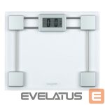 Scales Salter  9081 SV3RFTE Glass Electronic Bathroom Scale 