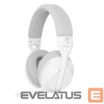 Беспроводные наушники White Shark  WGH-2441 Falcon White/Grey 