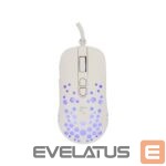 Kompiuterio pelė White Shark  GM-9004 Tristan-2 White RGB 
