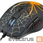 Kompiuterio pelė Tracer  47360 Gamezone Black Widow RGB 