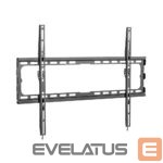 Televizoriaus laikiklis Sbox  PLB-2264F-2 (37-80/45kg/600x400) 