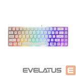 Arvuti klaviatuur White Shark  GK-2201 RONIN White-US 