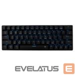 Computer keyboard White Shark  GK-003111 Premium Line Kaiken US 