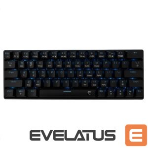 Arvuti klaviatuur White Shark  GK-003111 Premium Line Kaiken US 