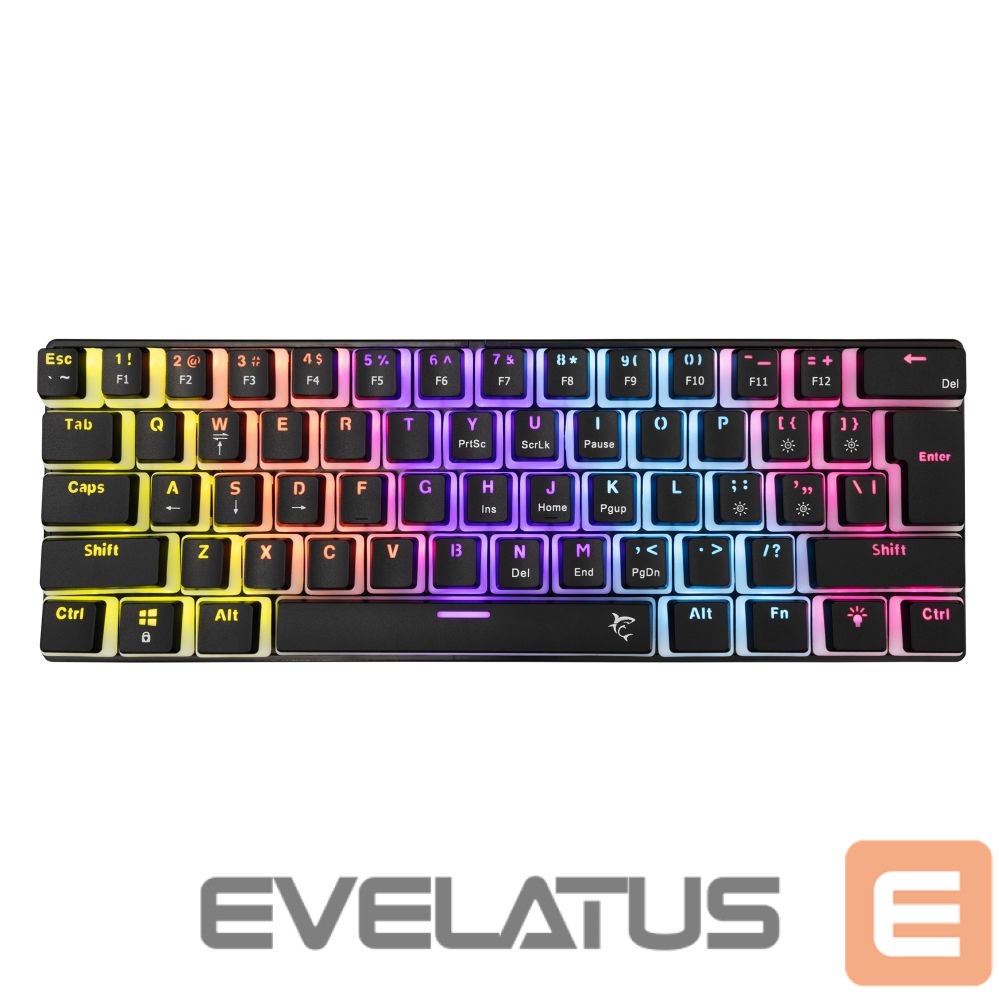 Arvuti klaviatuur White Shark GK-2202 Ashiko-2 Black/Blue US