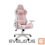 Datoru krēsli / galdi White Shark  Roxy Gaming Chair Pink 