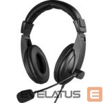 Kõrvaklapid Sandberg  325-28 Saver MiniJack Headset Large 