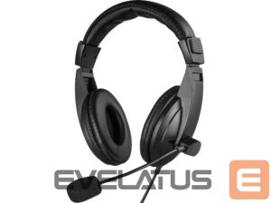 Vadu austiņas Sandberg  325-28 Saver MiniJack Headset Large 