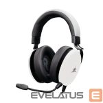 Wired headphones White Shark  GH-2540 Elephant White 