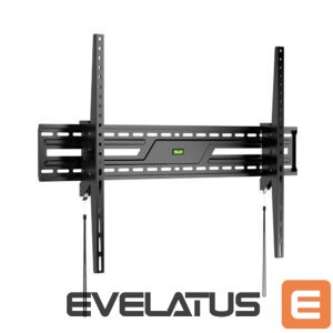 TV kronšteini Sbox  PLB-4269T-2 (43-100/75kg/900x600) 