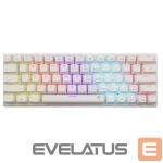 Datora tastatūra White Shark  GK-002211V2  Wakizashi 2 White US Red Switches 