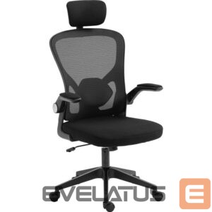 Computer chairs / desks Sandberg  640-97 ErgoFusion Gaming Chair Basic 