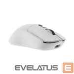 Datora pele White Shark  GM-9010 MAXIMUS White 