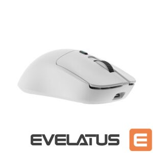 Datora pele White Shark  GM-9010 MAXIMUS White 