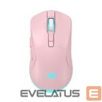 Arvutihiir Baracuda  BGM-124 Turtle Pink 