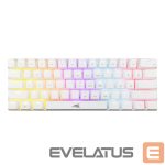 Arvuti klaviatuur Baracuda  BGK-03221 Dolphin White US Mechanical Blue Switches 