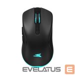 Arvutihiir Baracuda  BGM-121 Turtle Black 