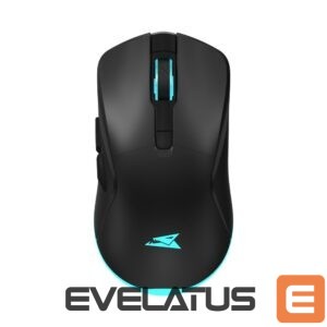 Datora pele Baracuda  BGM-121 Turtle Black 