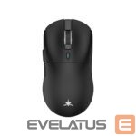 Datora pele White Shark  GM-9010 MAXIMUS Black 